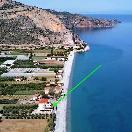 לאונידיון Thassa Beach Apartment No1 מראה חיצוני תמונה