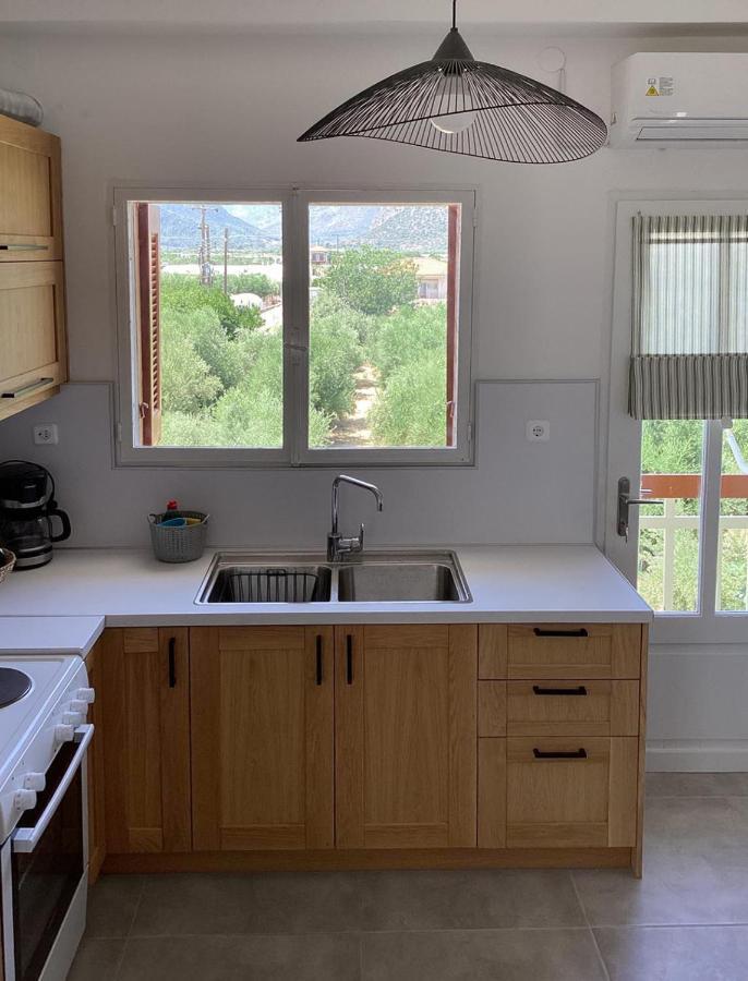 לאונידיון Thassa Beach Apartment No1 מראה חיצוני תמונה