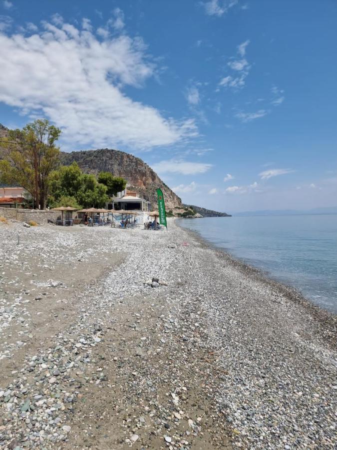 לאונידיון Thassa Beach Apartment No1 מראה חיצוני תמונה