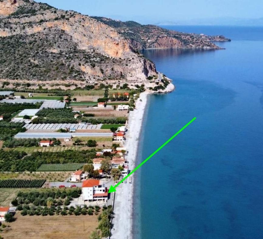 לאונידיון Thassa Beach Apartment No1 מראה חיצוני תמונה